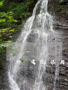 建设信用卡逾期能否减免