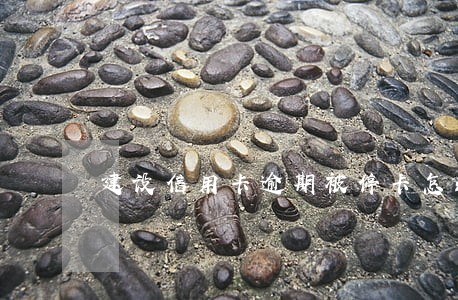 建设信用卡逾期被停卡怎么处理 建设信用卡逾期被停卡怎么处理