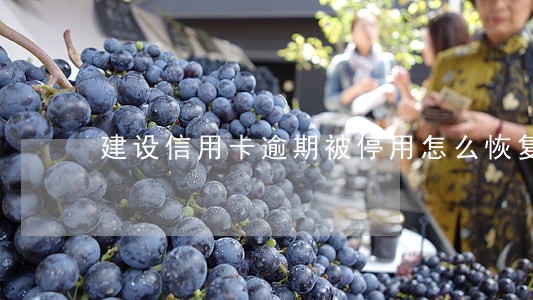 建设信用卡逾期被停用怎么恢复