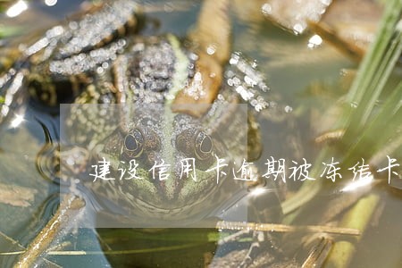 建设信用卡逾期被冻结卡 建设信用卡逾期被冻结卡