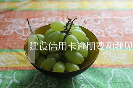 建设信用卡逾期要和我见面 建设信用卡逾期要和我见面