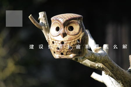 建设信用卡逾期费怎么解决 建设信用卡逾期费怎么解决