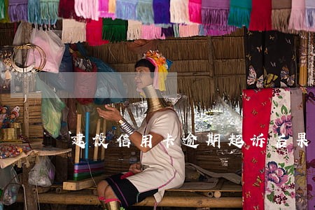 建设信用卡逾期起诉后果 建设信用卡逾期起诉后果