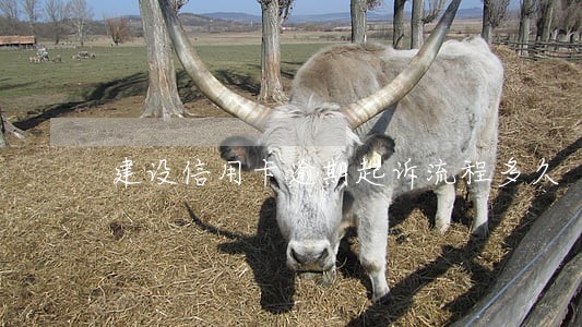 建设信用卡逾期起诉流程多久