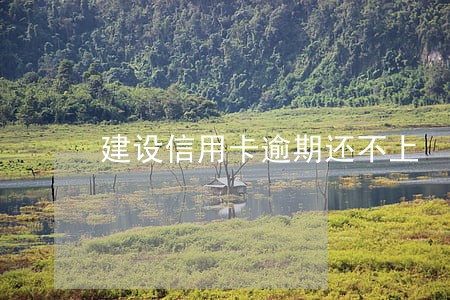 建设信用卡逾期还不上 建设信用卡逾期还不上