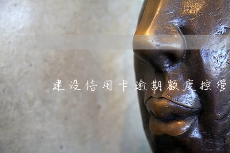 建设信用卡逾期额度控管啥意思 建设信用卡逾期额度控管啥意思