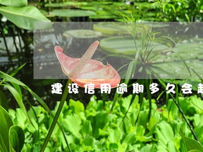 建设信用逾期多久会起 建设信用逾期多久会起