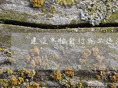 建设单位自行施工违法 建设单位自行施工违法