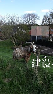 建设小微信用贷逾期会怎样 建设小微信用贷逾期会怎样
