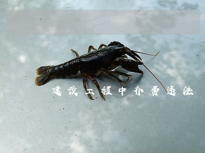 建设工程中介费违法 建设工程中介费违法