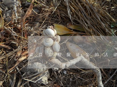 建设工程保证金的法律性质分析 建设工程保证金的法律性质分析