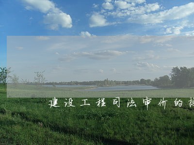 建设工程司法审价的操作程序