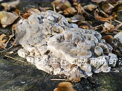 建设工程司法审价的法律风险 建设工程司法审价的法律风险