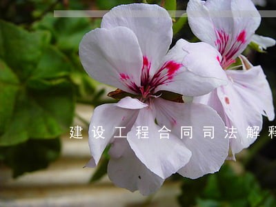 建设工程合同司法解释二 建设工程合同司法解释二