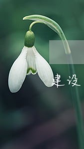 建设工程合同诉讼代理 建设工程合同诉讼代理
