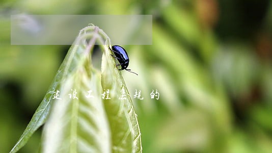 建设工程法规的