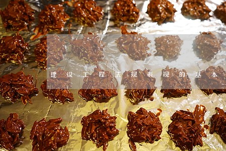 建设工程法规表现的基本特征 建设工程法规表现的基本特征