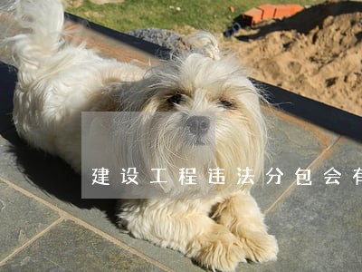 建设工程违法分包会有什么后果