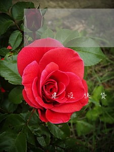 建设快贷逾期5天会有事吗 建设快贷逾期5天会有事吗