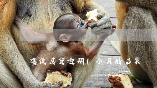 建设房贷逾期1个月的后果