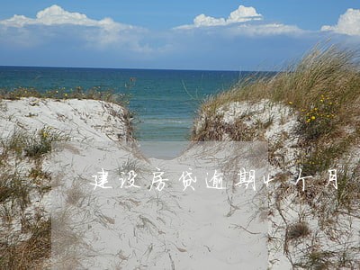 建设房贷逾期4个月