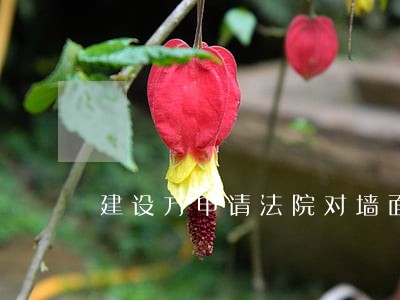 建设方申请法院对墙面瓷砖 建设方申请法院对墙面瓷砖
