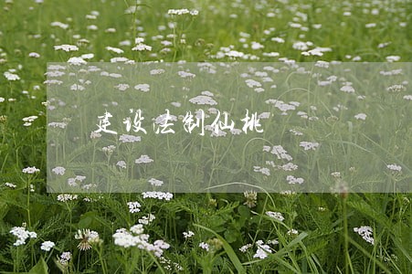 建设法制仙桃 建设法制仙桃