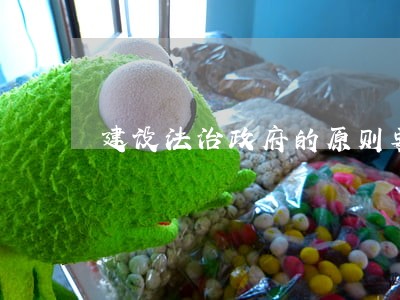 建设法治政府的原则要求 建设法治政府的原则要求