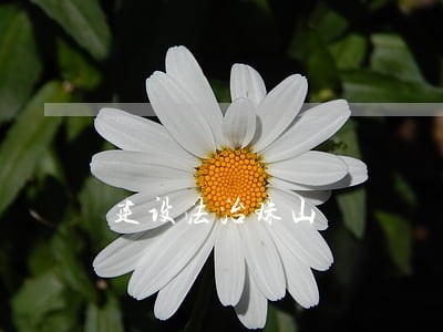 建设法治珠山 建设法治珠山
