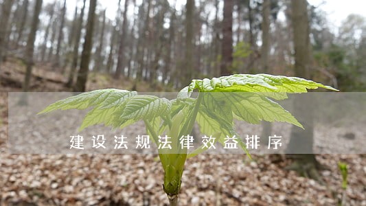 建设法规法律效益排序