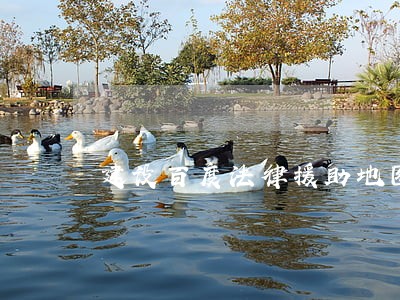 建设百度法律援助地图 建设百度法律援助地图