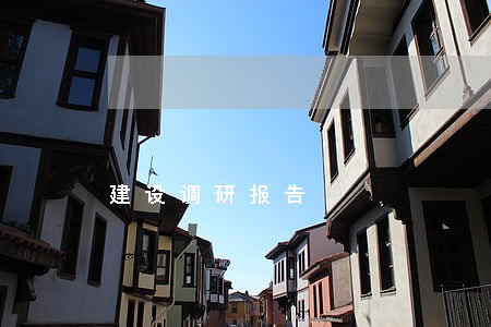 建设调研报告