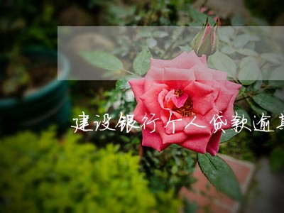 建设银行个人贷款逾期判刑 建设银行个人贷款逾期判刑