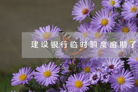 建设银行临时额度逾期了怎么办 建设银行临时额度逾期了怎么办