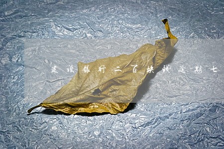 建设银行二百块钱逾期七个月 建设银行二百块钱逾期七个月