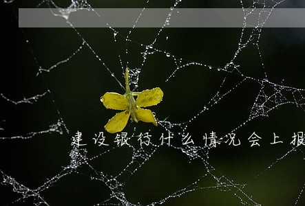建设银行什么情况会上报逾期 建设银行什么情况会上报逾期