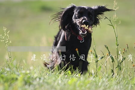 建设银行信用卡2个月有逾期