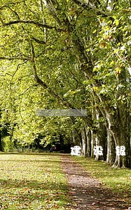建设银行信用卡2年有4次逾期 建设银行信用卡2年有4次逾期