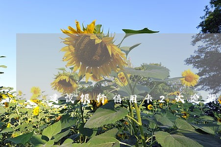 建设银行信用卡2次逾期 建设银行信用卡2次逾期