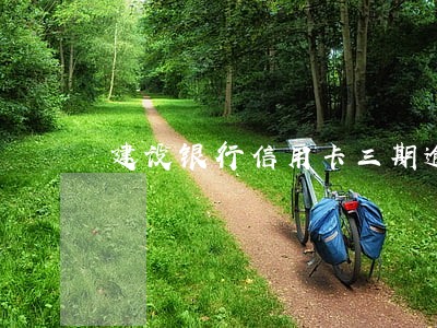 建设银行信用卡三期逾期