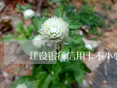 建设银行信用卡不小心逾期 建设银行信用卡不小心逾期