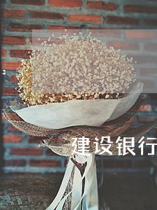 建设银行信用卡不小心逾期5天 建设银行信用卡不小心逾期5天