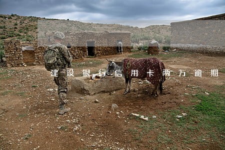 建设银行信用卡两万逾期三个月