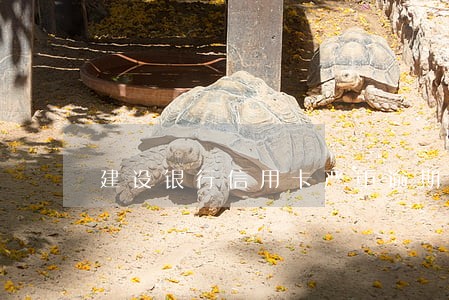 建设银行信用卡严重逾期后果 建设银行信用卡严重逾期后果