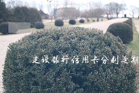 建设银行信用卡分别逾期 建设银行信用卡分别逾期