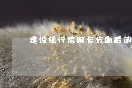 建设银行信用卡分期后逾期了 建设银行信用卡分期后逾期了