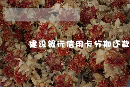 建设银行信用卡分期还款逾期 建设银行信用卡分期还款逾期