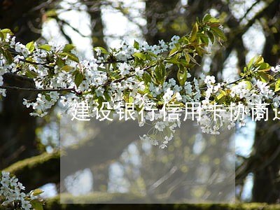 建设银行信用卡协商还款逾期了 建设银行信用卡协商还款逾期了