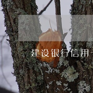 建设银行信用卡大额分期逾期