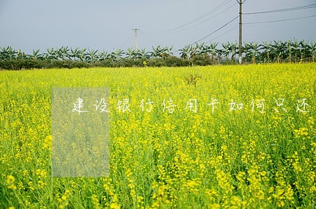 建设银行信用卡如何只还本金 建设银行信用卡如何只还本金